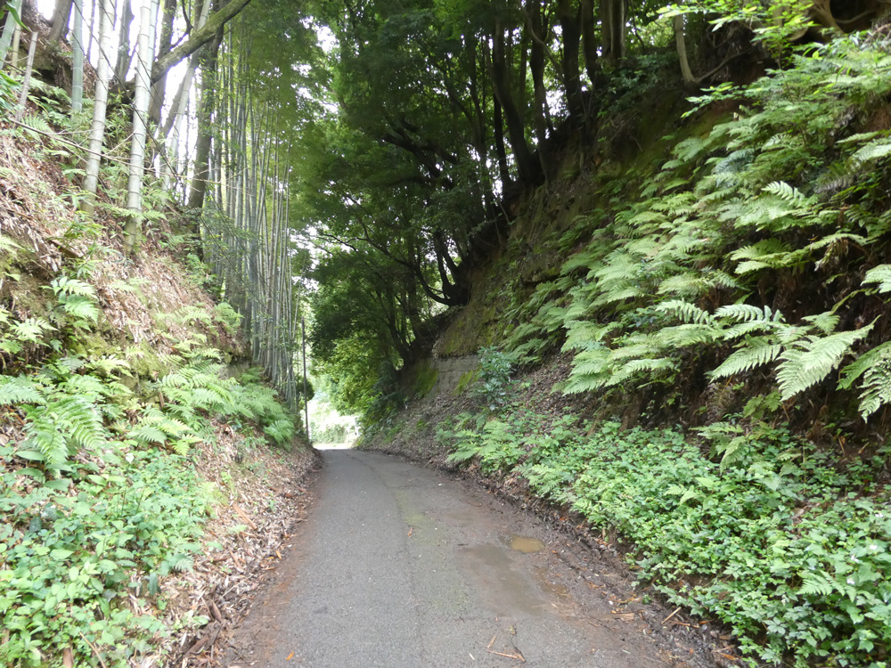 山谷の切通し