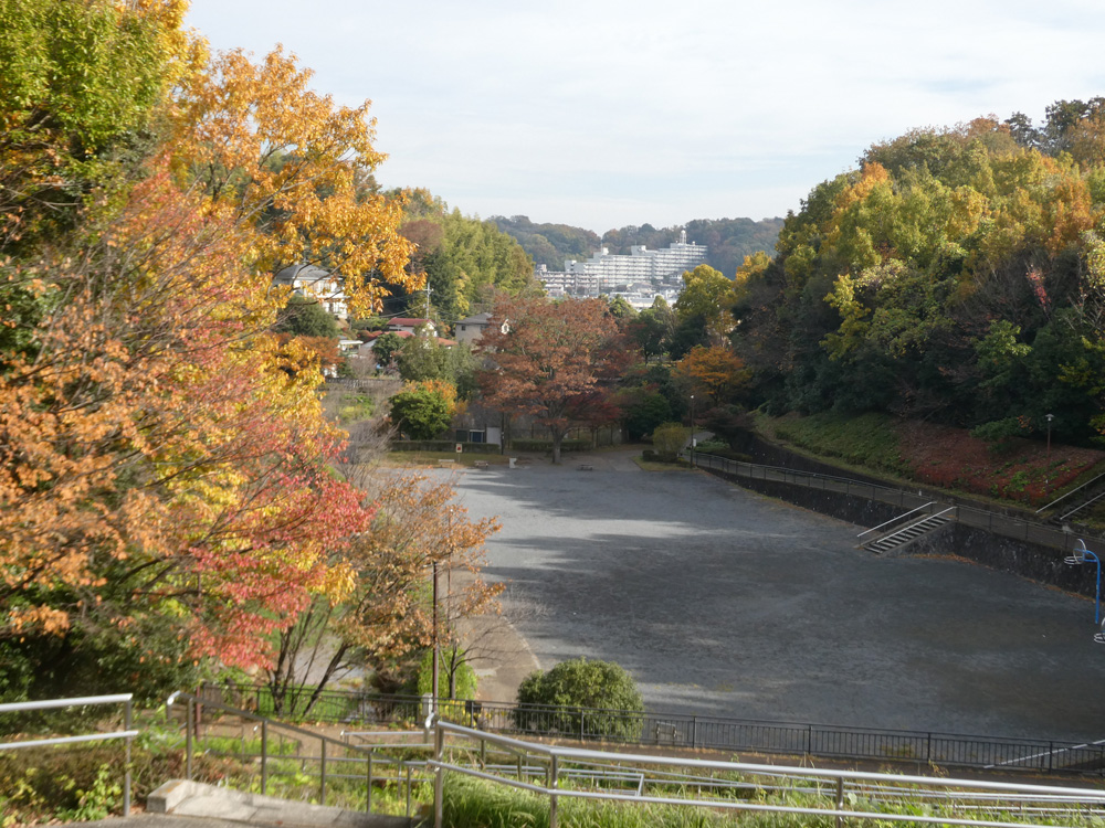 沢谷戸自然公園